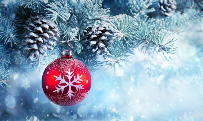 Snow Christmas ornament Frost ball Winter 2k 4k 5k