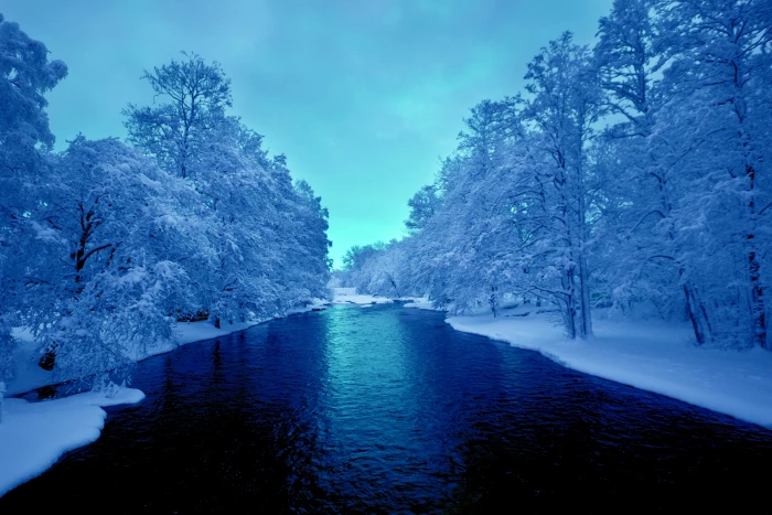 white leafed trees the sky snow river Winter nature forest 2k 4k