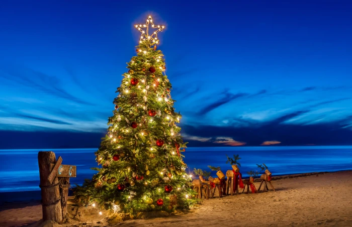 Holiday Christmas Beach Tree Horizon Ocean Sky 2k 4k