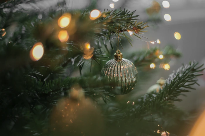 selective focus photography of bauble on Christmas tree lights 2k 4k