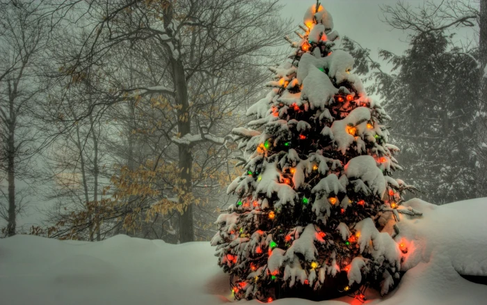 New Year snow christmas lights pine trees winter 2k