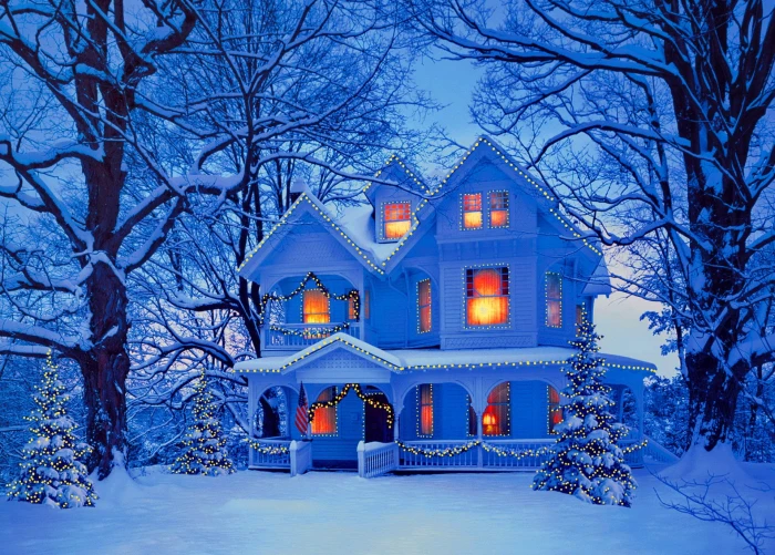 Holiday Christmas Tree Glow House Light Snow