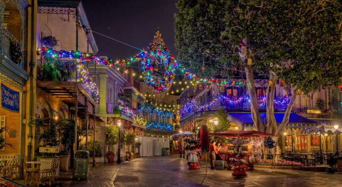 Christmas Lights are Up multicolored string lights Holidays
