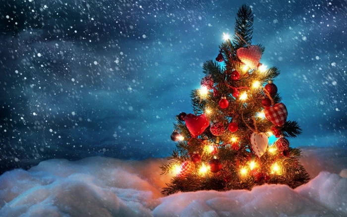 lights night snow holidays winter christmas Tree cold