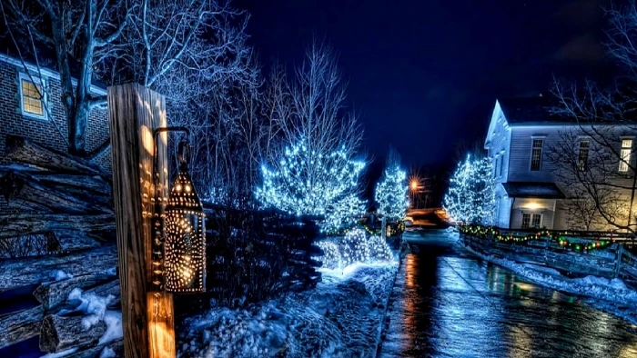 nature xmas winter christmas night decoration