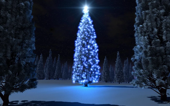 Blue christmas tree giant holidays winter lights