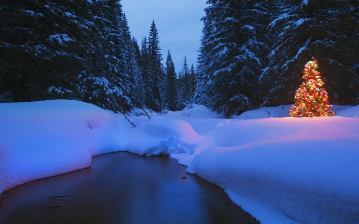 red Christmas tree landscape winter trees snow river night
