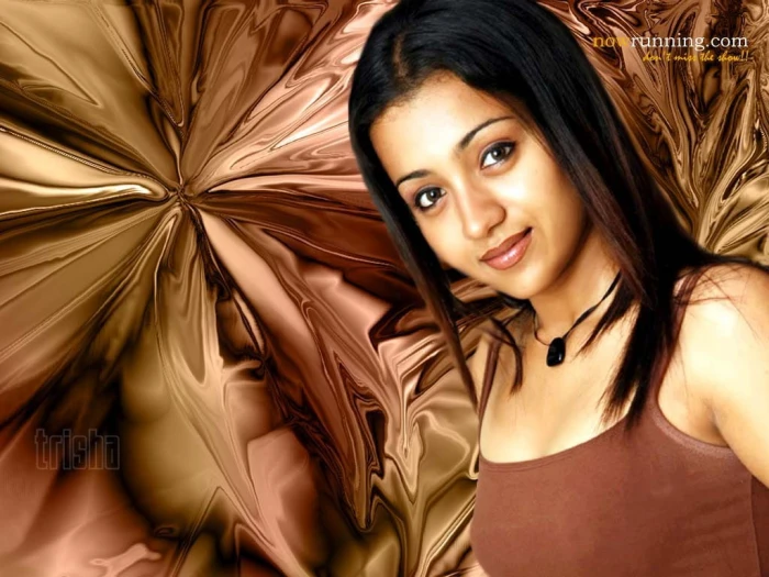actress cute Trisha Entertainment Bollywood HD Art Hot tamil
