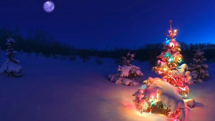 Christmas wallpaper Tree snow christmas lights illuminated