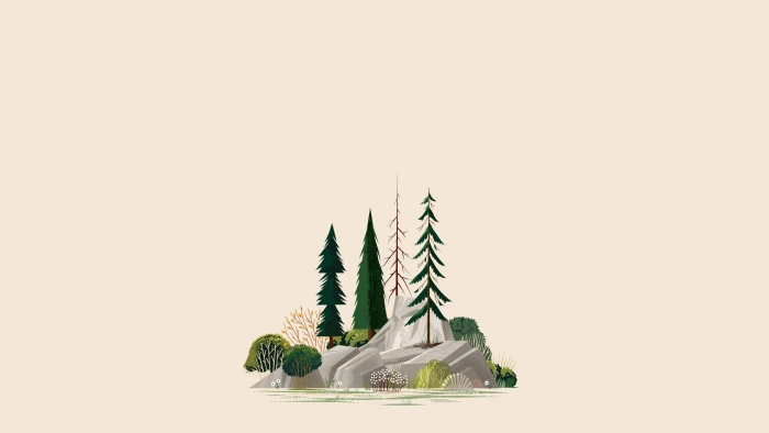 green pine trees clip art illustration forest rock studio shot 2k