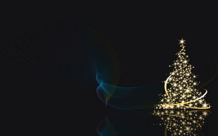 Christmas tree decor illuminated studio shot black background