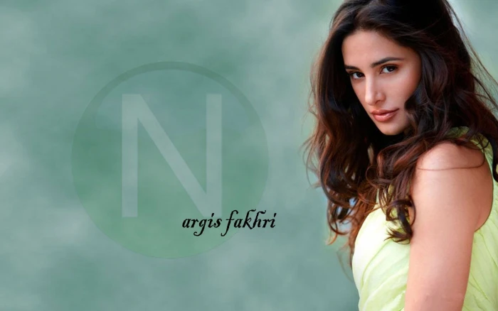 actress babe bollywood fakhri model nargis
