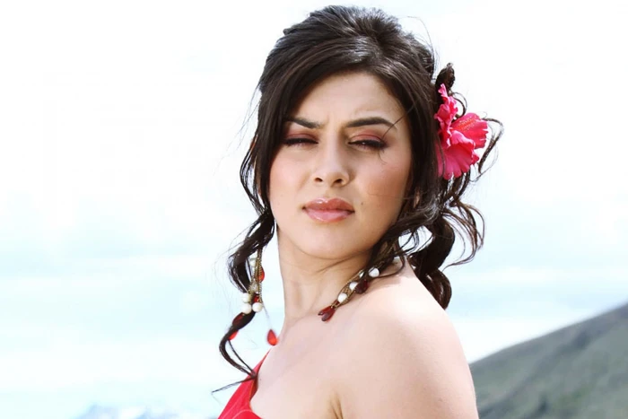 actress babe bollywood hansika model motwani