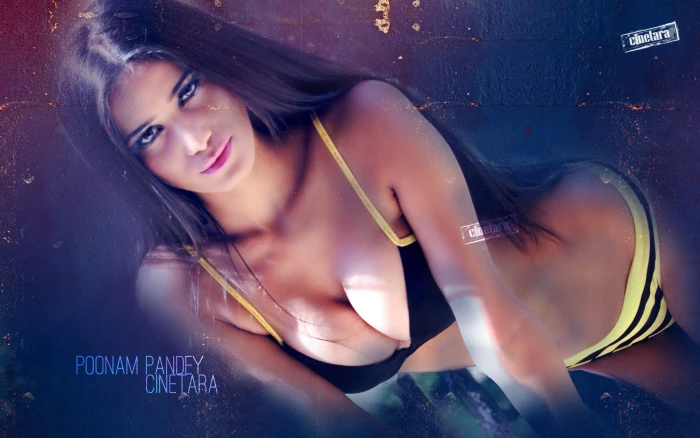 actress babe bollywood model pandey poonam