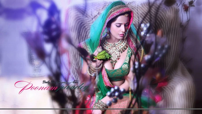 actress babe bollywood model pandey poonam