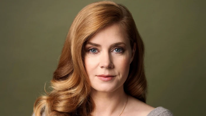 Actresses Amy Adams American Blue Eyes Face Redhead 2k 4k 5k