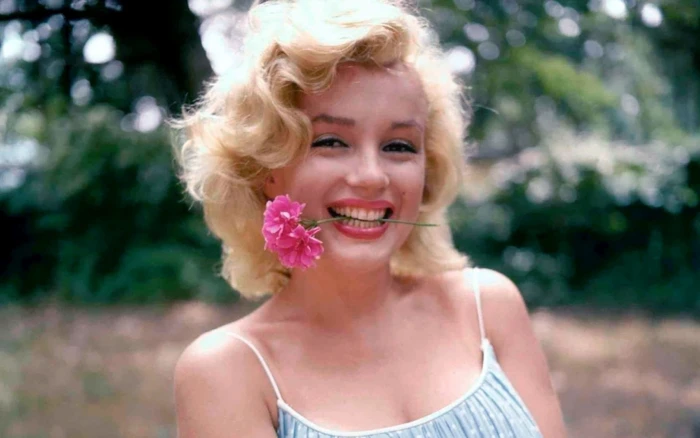 Actresses Marilyn Monroe Celebrity Flower Smile portrait