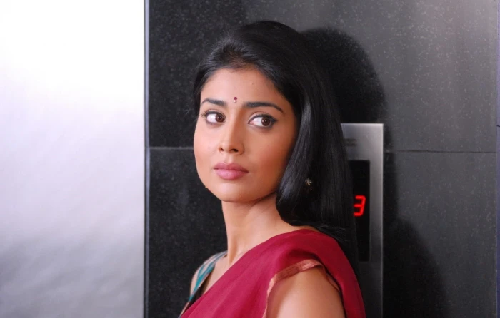 Actresses Shriya Saran one person headshot portrait young adult