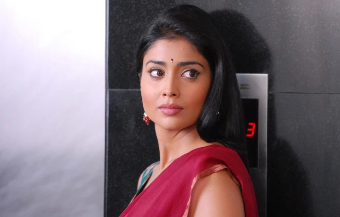 Actresses Shriya Saran portrait headshot one person women