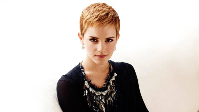 Emma Watson women looking at viewer actress portrait one person