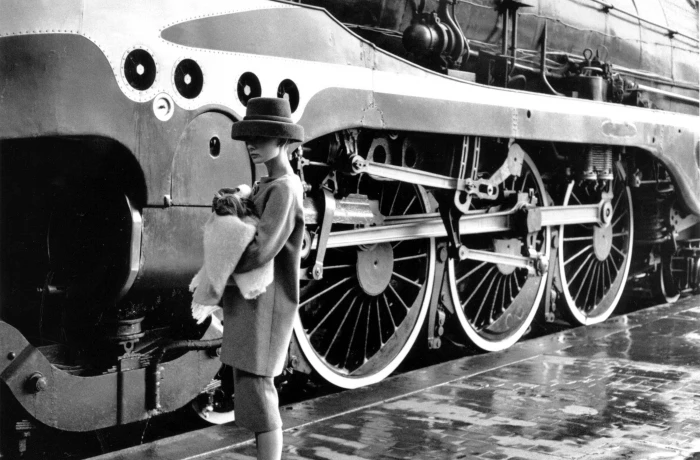 Audrey Hepburn monochrome women actress dog 2k