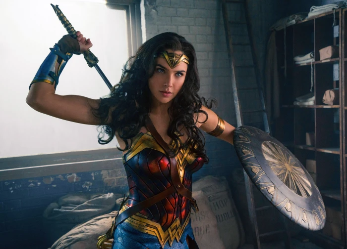 DC Comics dceu Gal Gadot brunette blue eyes actress movies 2k