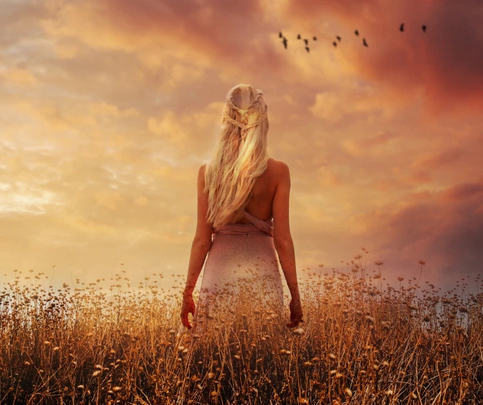 field the sky clouds sunset flowers hair back plants 2k