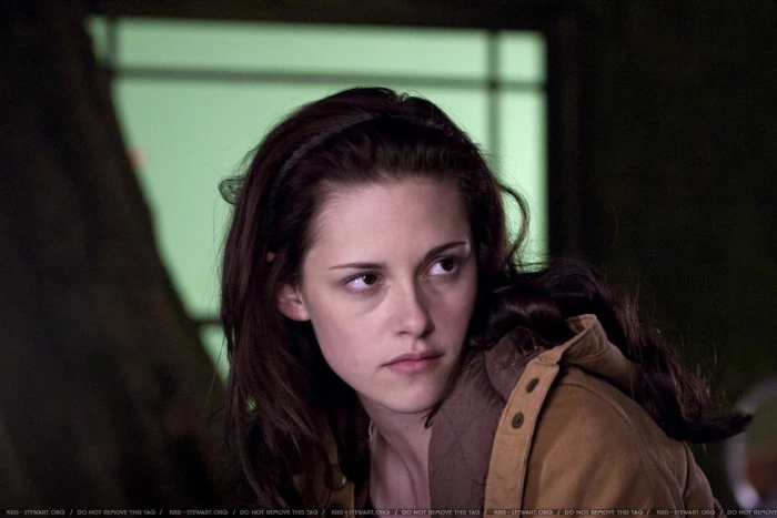 Kristen Stewart women actress celebrity movies portrait