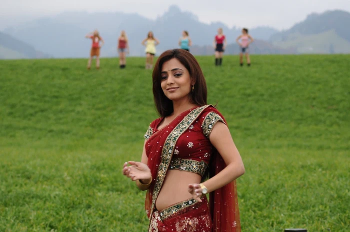 Nisha Agarwal Red women's red and silver crop top sari dress