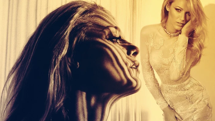 women's brown laced long sleeved dress Blake Lively sepia face