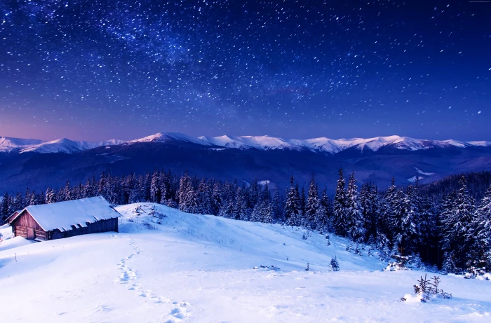 trees night stars sky snow Mountains 2k 4k 5k