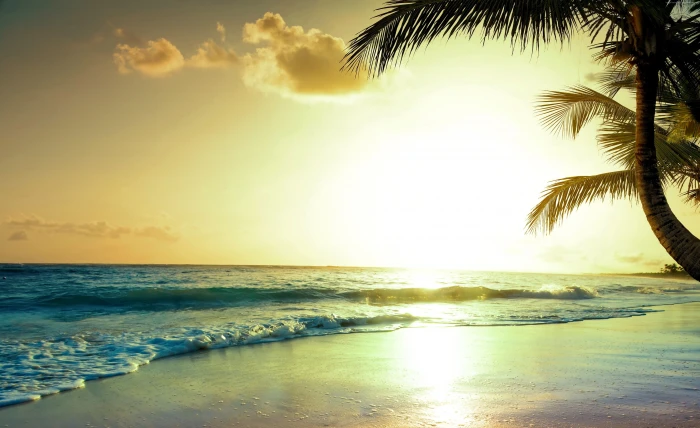tropical beach sunset paradise 2k 4k 5k