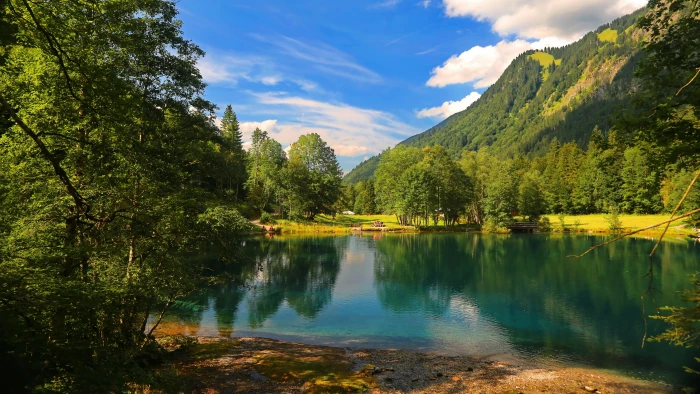 lake nature photo water beauty in tree scenics 2k 4k 5k 8k
