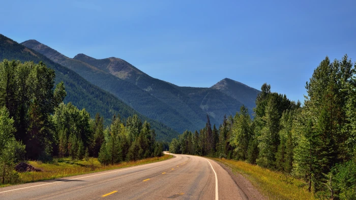 mountain nature photo tree road plant transportation 2k 4k 5k 8k