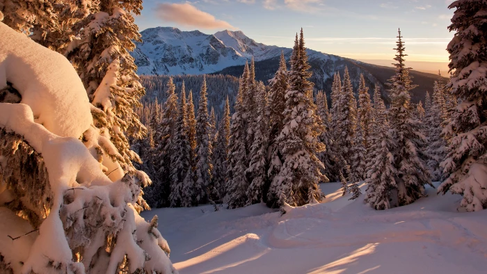 nature photo snow winter cold temperature mountain 2k 4k 5k 8k