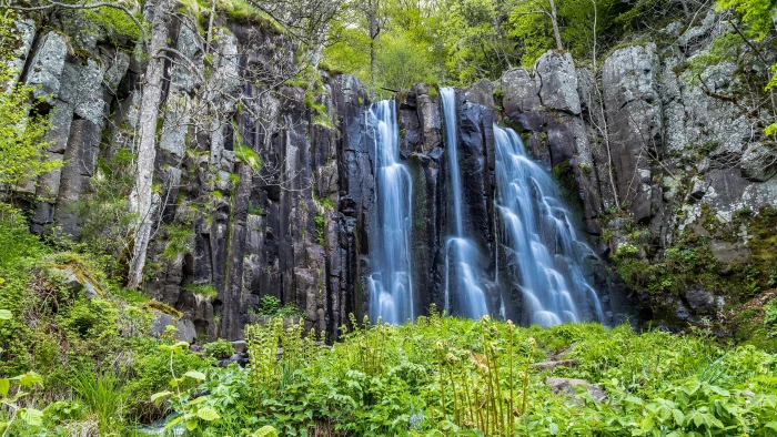 nature waterfall photo plant tree beauty in forest 2k 4k 5k 8k