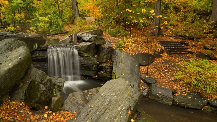 nature waterfall picture tree plant forest autumn rock 2k 4k 5k 8k