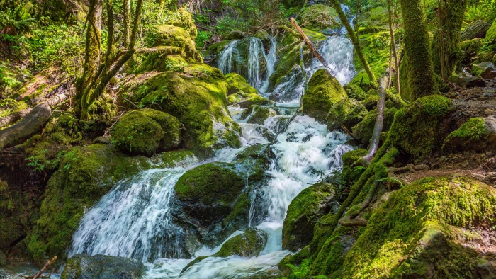 waterfall nature hd tree plant beauty in land 2k 4k 5k 8k