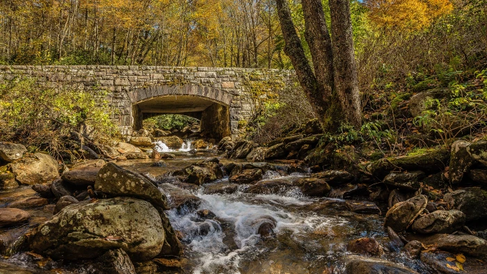 uhd picture water tree rock solid connection flowing 2k 4k 5k 8k