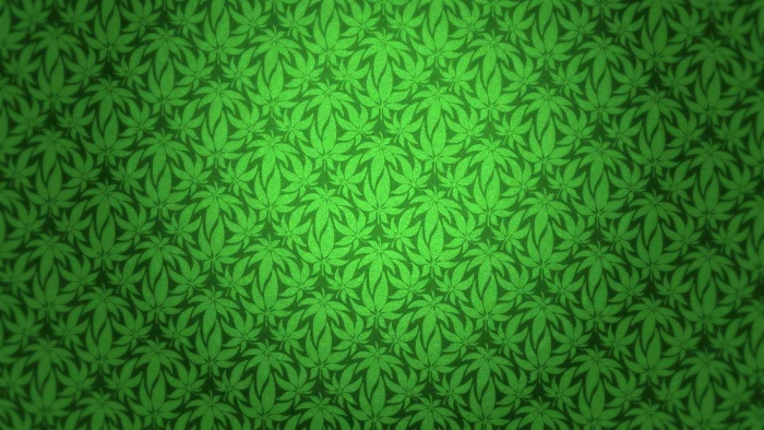 cannabis drug drugs marijuana nature plant psychedelic 2k