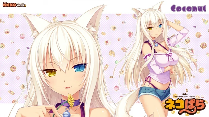 px Coconut Nekopara Neko Para Works Nekomimi Sayori Nature Other HD Art 2k