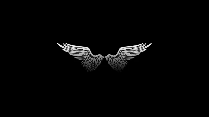 silver wings black background digital art minimalism feathers 2k
