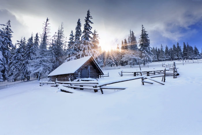 mountain fir trees winter forest village snow 2k 4k 5k