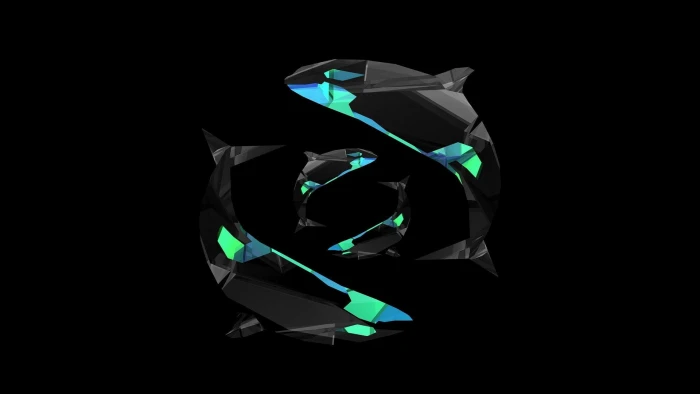 black and multicolored Orca digital wallpaper art minimalism 2k