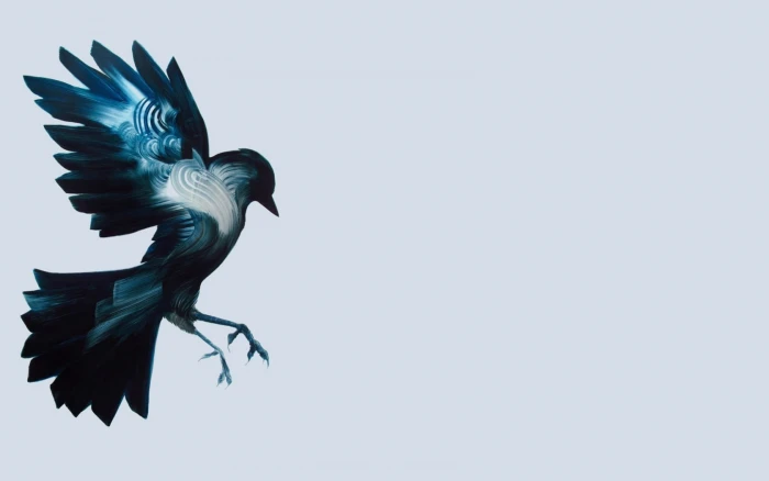 vector illustration of blue and white bird birds artwork simple background 2k