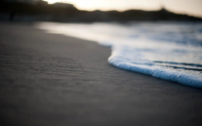 beach sea selective focus wood material no people day