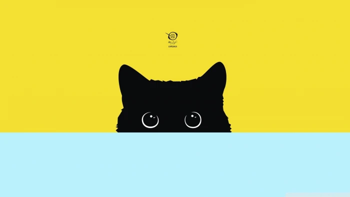 black cat digital wallpaper minimalism art simple 2k