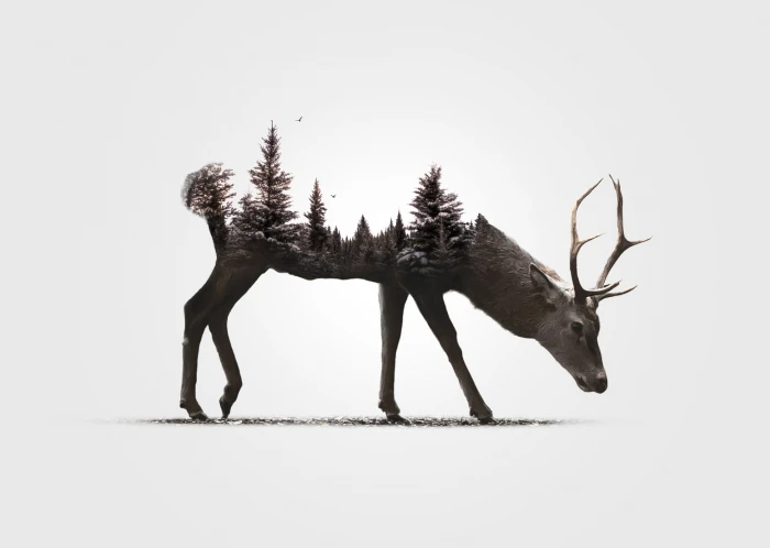 black reindeer illustration digital art animals simple background 2k