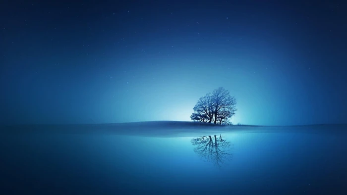 nature lone tree lonely bluish reflection reflected 2k
