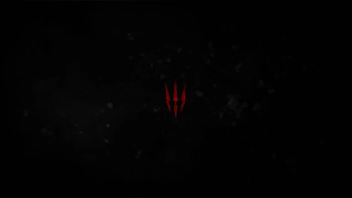 video games The Witcher 3 Wild Hunt motion flying copy space 2k